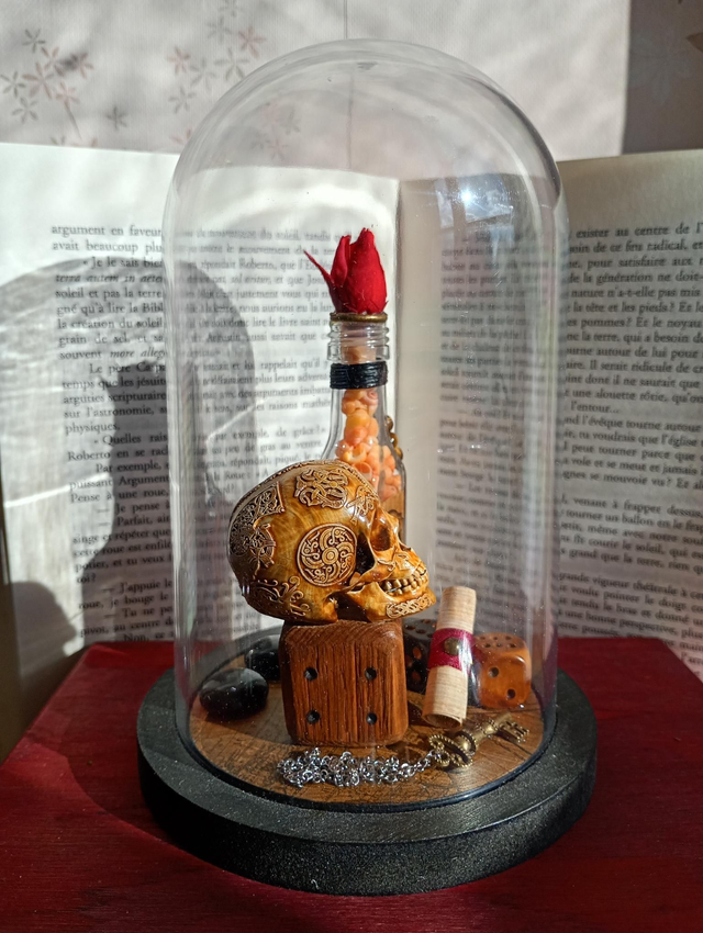 D01 pirate fleur rouge