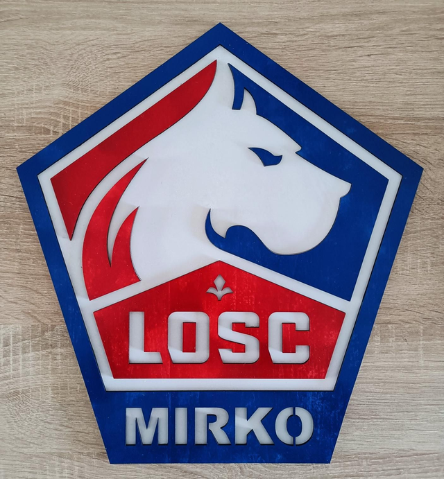 Logo LOSC
