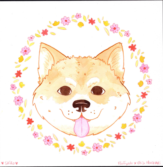 Shiro – Œuvre originale solidaire