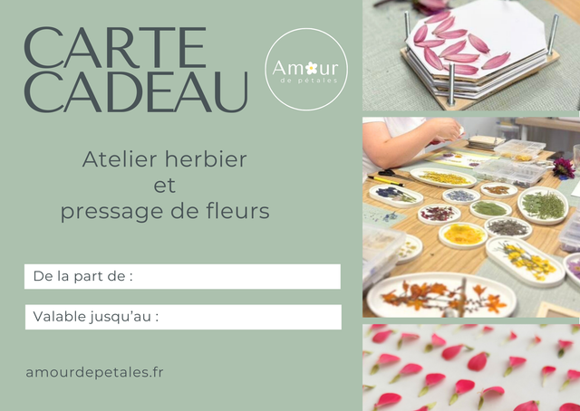 Carte cadeau Atelier Amour de pétales