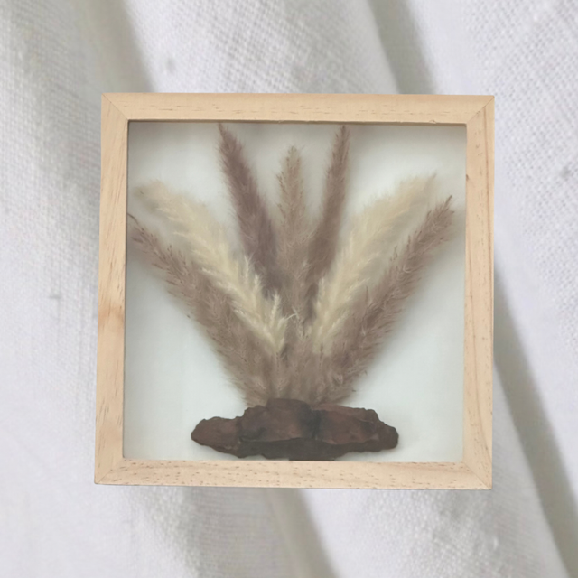 Cadre vitrine roseaux des marais séchés