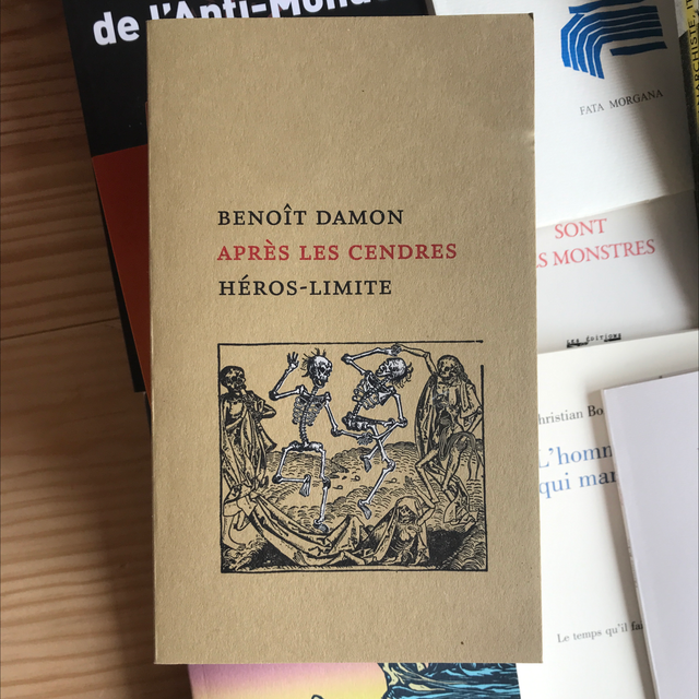 DAMON Benoît - Après les cendres 