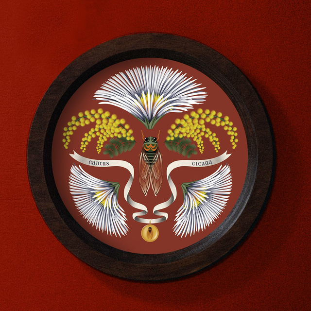 Cadre "Cantus Cicada"