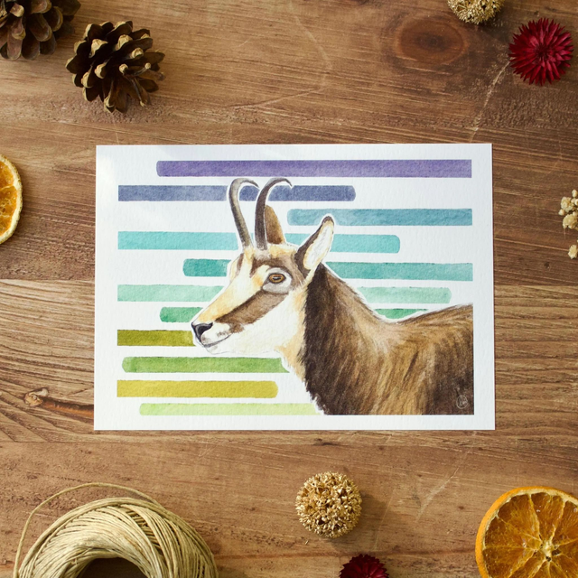 Chamois - reproduction en tirages limités