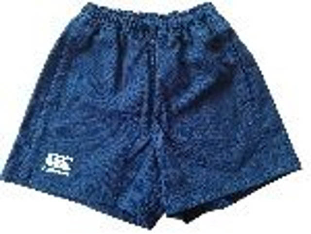 Shorts - plain blue