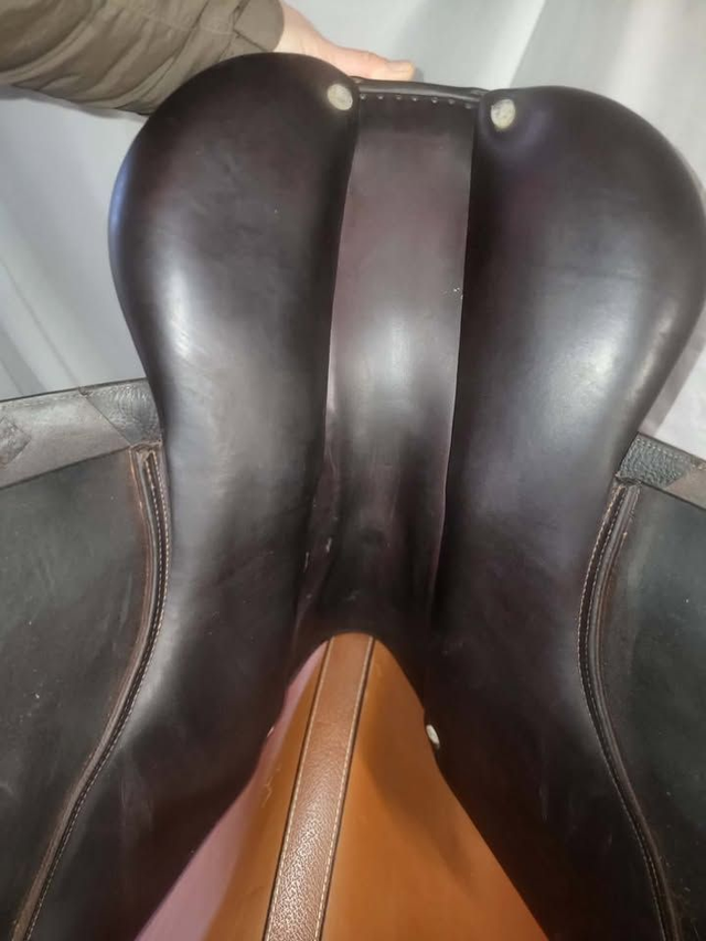 Selle obstacle CWD SE03 - 17" - occasion