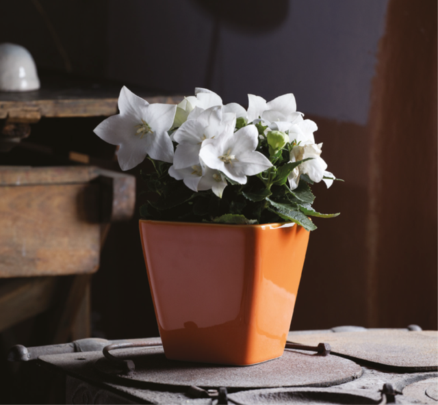 K19 . Quadro 10x10 in ceramica smaltata di CorinoBruna