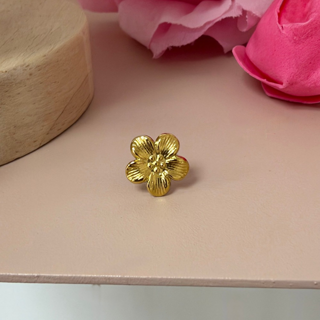 Piercing oreille Lisa