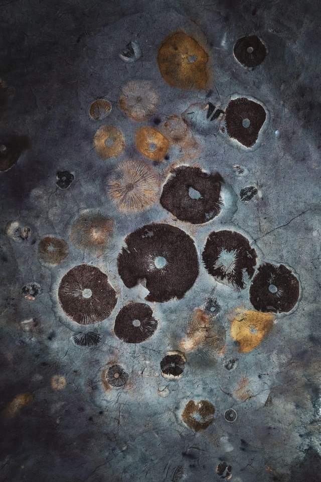 Berry Sporey print A5