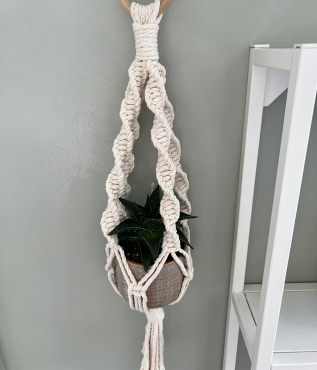 Short Twisted Plant Hanger