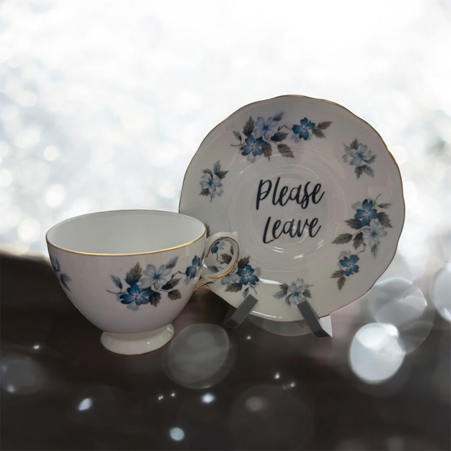 Please Leave - Set Blue