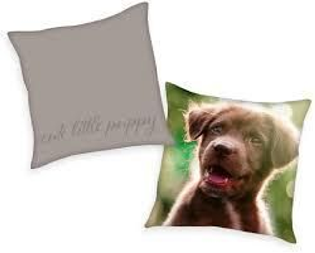 Dierenprint kussens 4 varianten