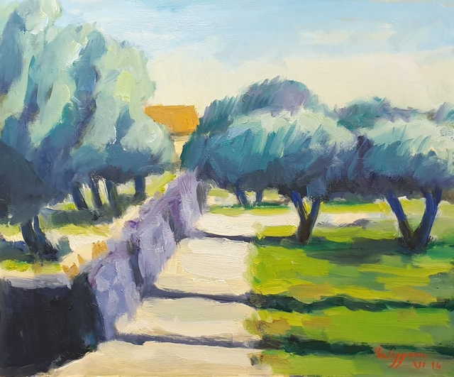 Olive Trees In Provence/Oliviers 