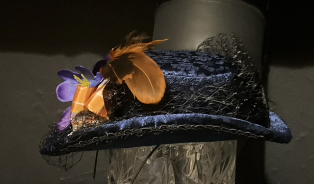  Victorian percher(navy)