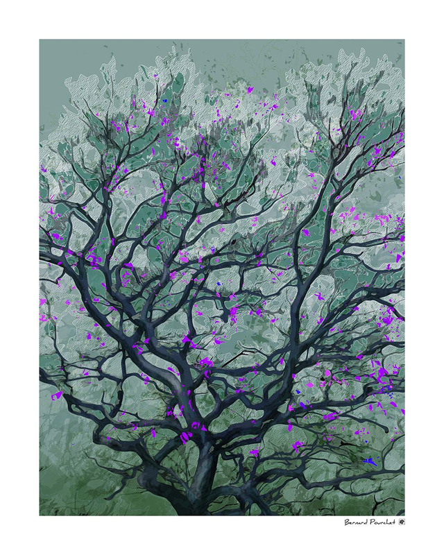 Arb01 - Nigrum Quercus 35-64