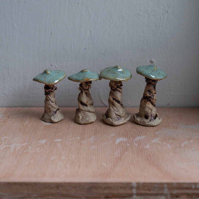 Woodfired Mushroom - Aqua