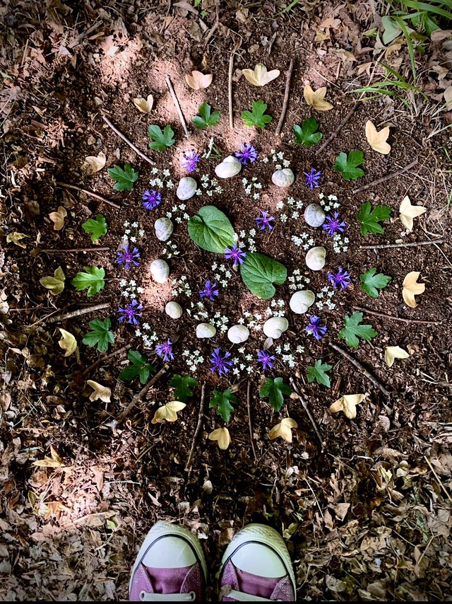 Pass représentant constellation familiale