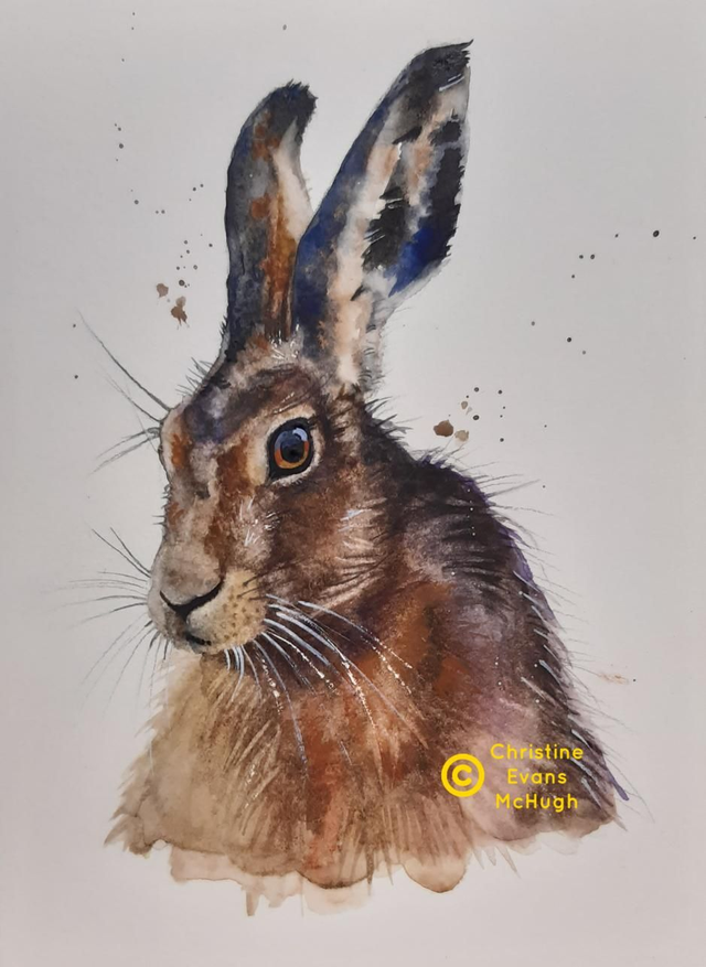Here Hare original watercolour painting 