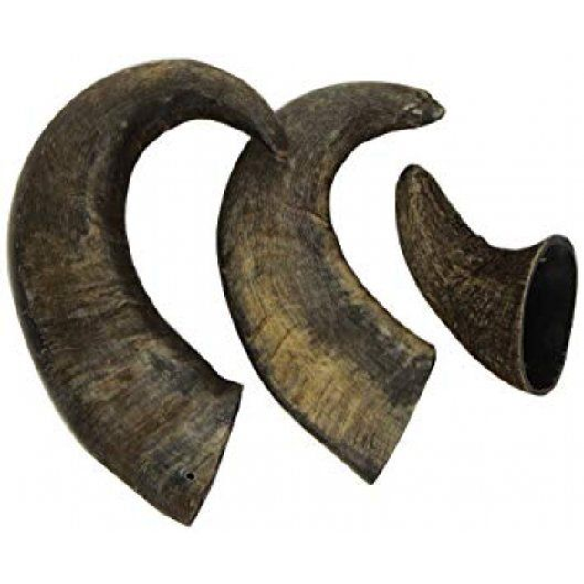 Small Buffalo Horns 3pk