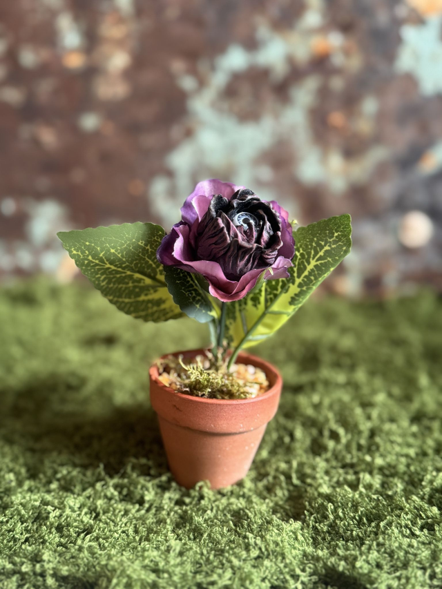 47.🌹 Specimen: The Veinrose