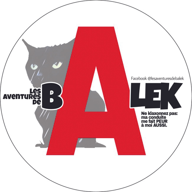 A autocollant jeune permis bAlek
