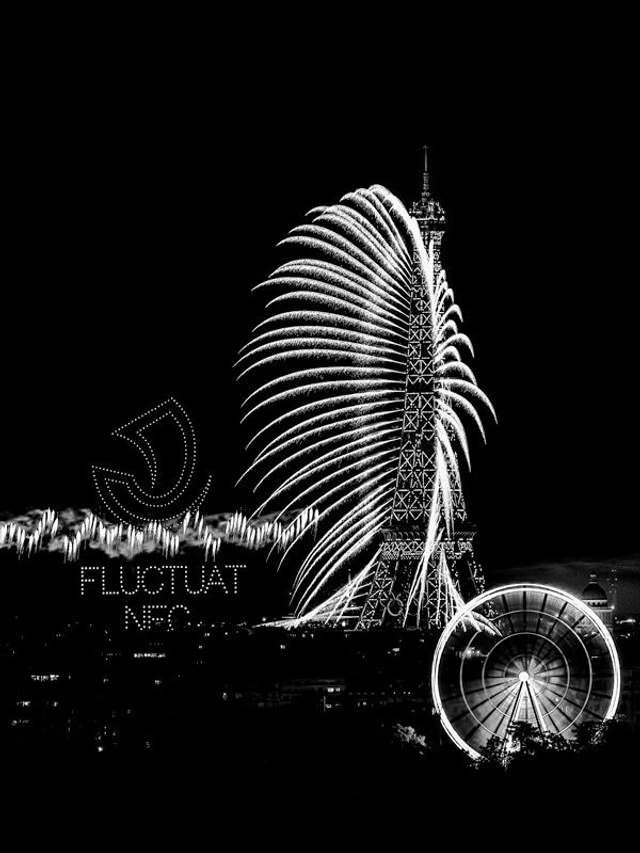 Fluctuat Nec Mergitur