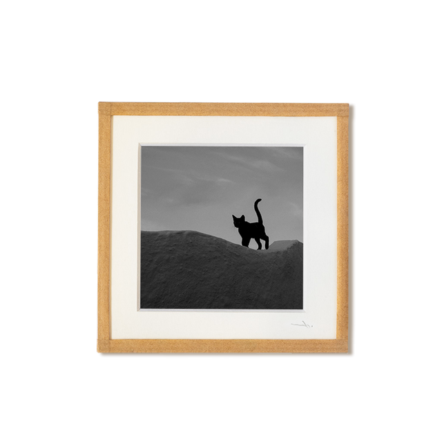 Chat #3 tirage photo encadré