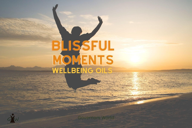 Blissful Moments Wellbeing Roller