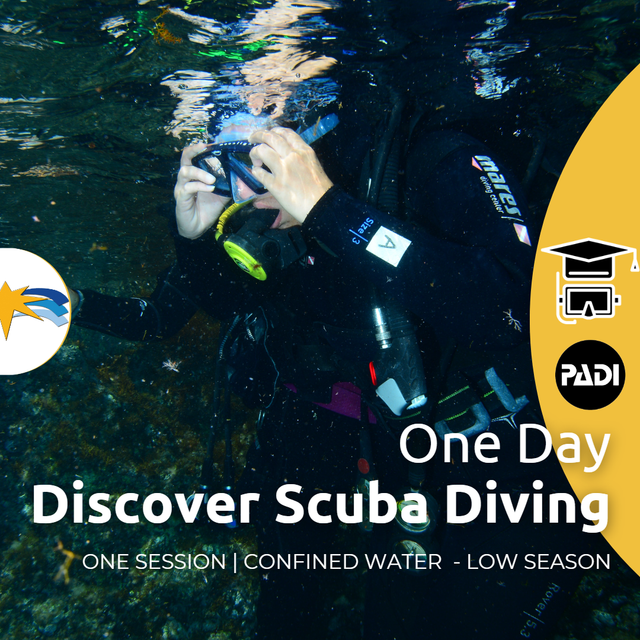 Low Season | Ustica OneDay Trip - Discover Scuba Diving