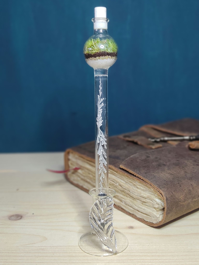 Crayon Éternel Terrarium