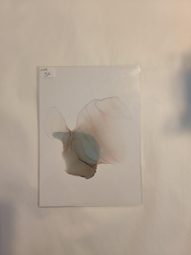 Carte N19