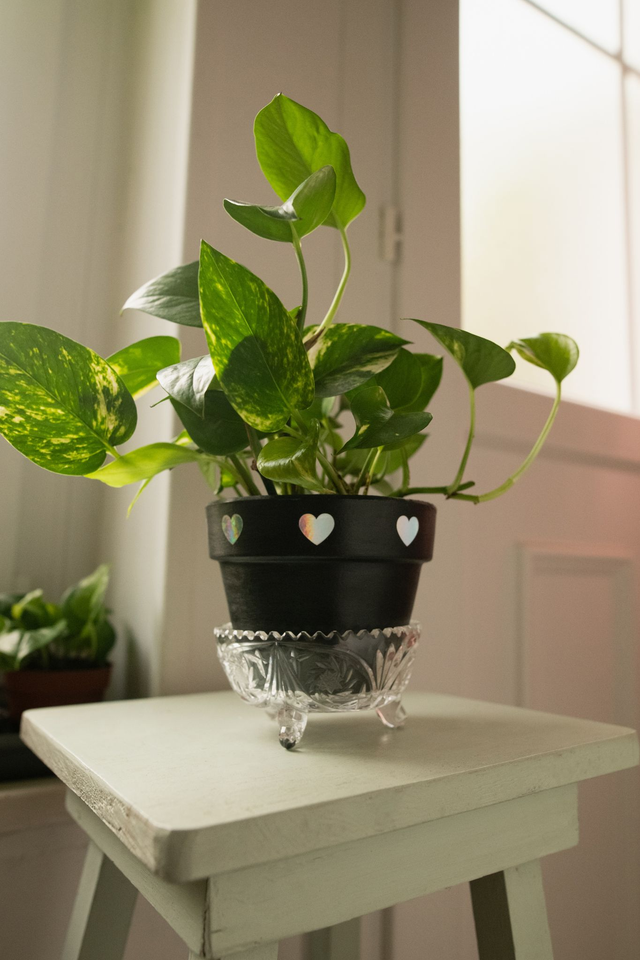 Coupelle en cristal avec des petits pieds ✨