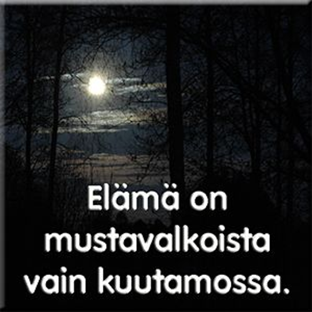 Magneetti "Elämä on"