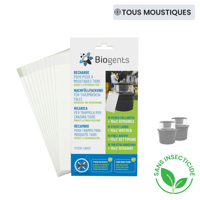 Pack de recharges de fiches collantes (lot de 10)