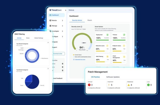 Protezione anti malware, Threatdown Advanced for Servers