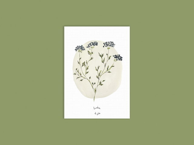 Carte fleurs des champs