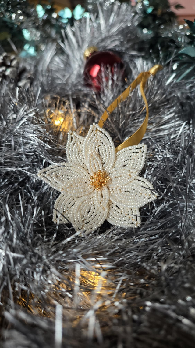 Coffret Suspensions Poinsettias