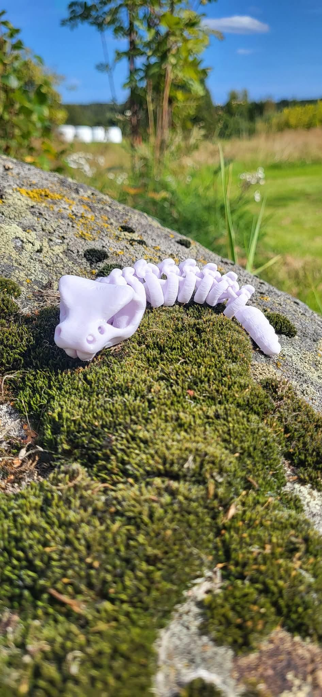 Söt liten ledad orm