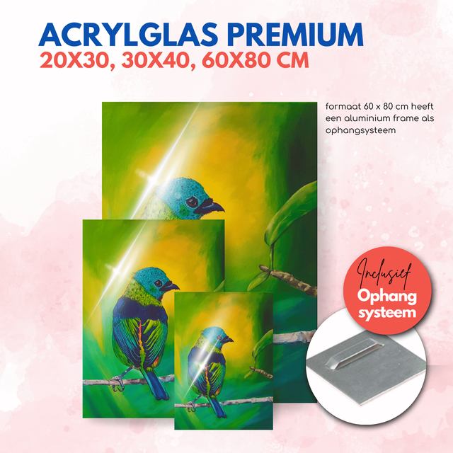 Vogel | Acrylglas premium