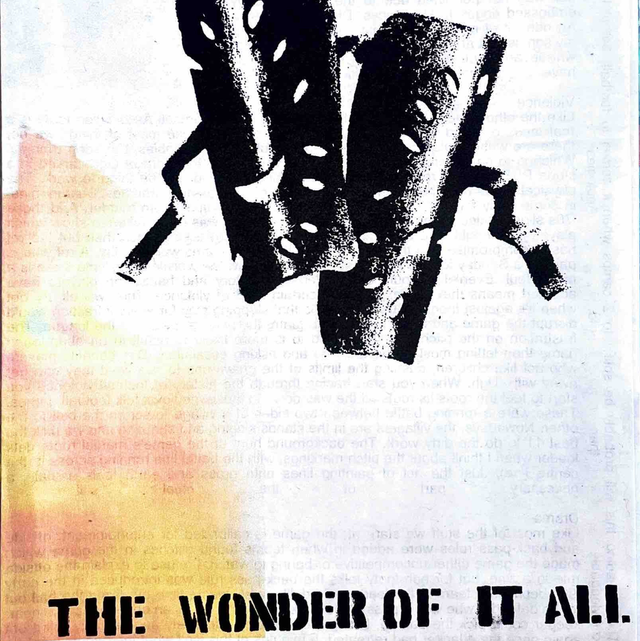 The Wonder of it All 