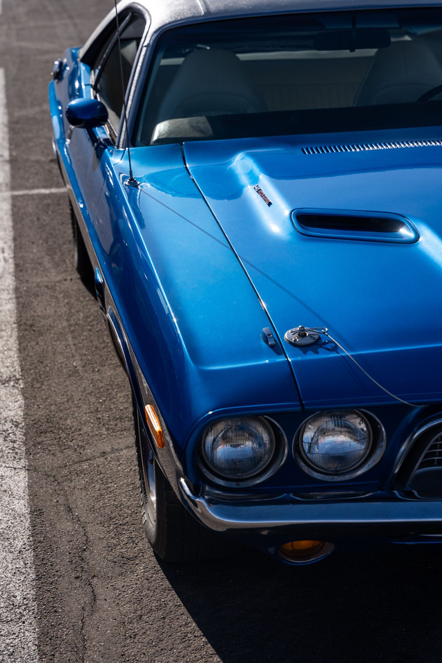 Aurélien VPM - "Hipster"