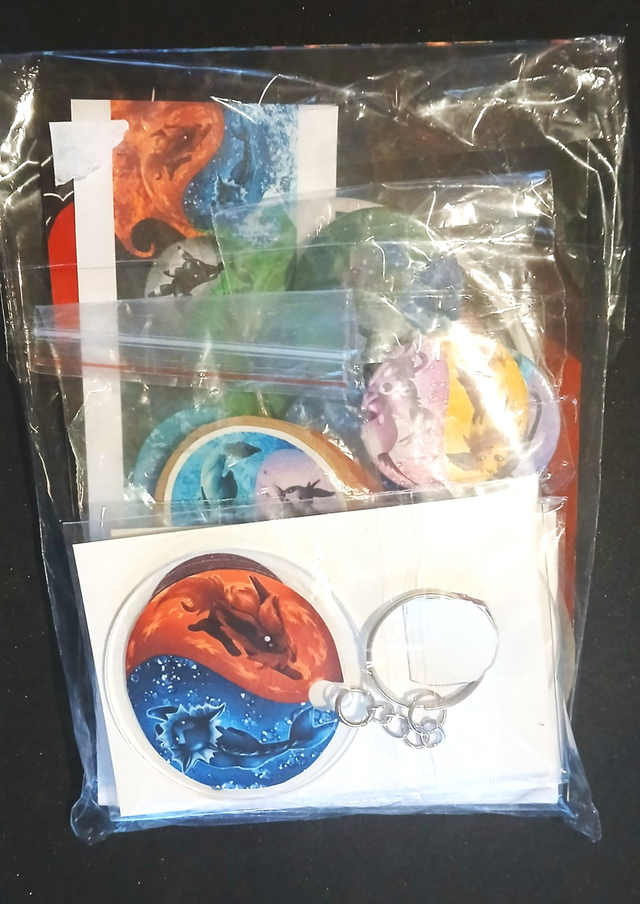 Evoli et ces Evolution Lots carte postal, porte clé et badge