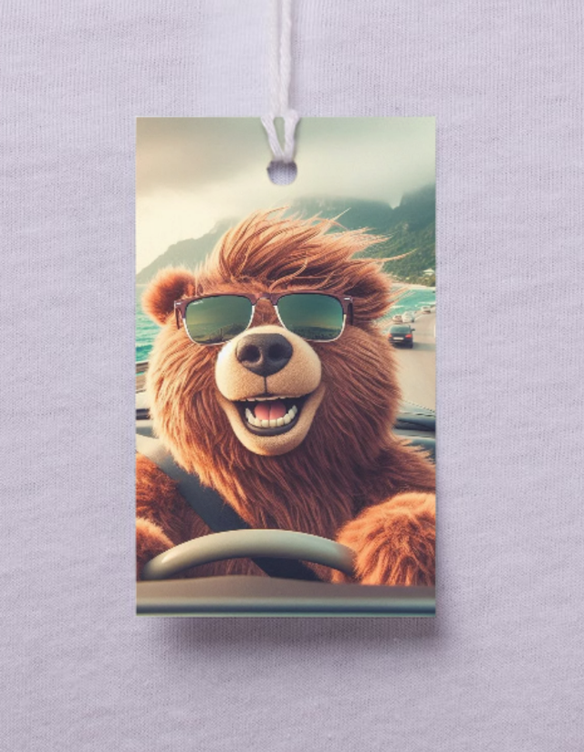  Un Ours au volant 