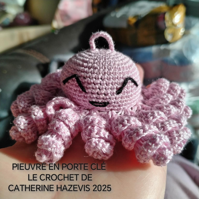 2025 PIEUVRE EN PORTE CLÉ 