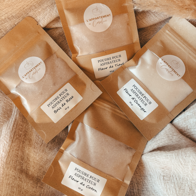 Poudre d’aspirateur 