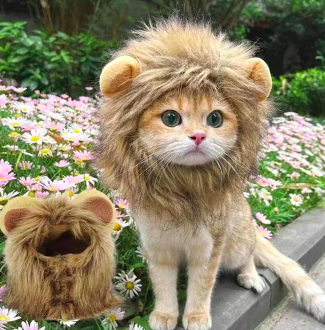 Prachtig kostuum voor katten Leeuwenmanen