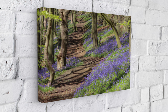 "Bluebell Woodland" Canvas