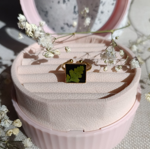 Flora - Fougère souvage