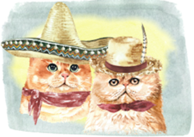 Hand made Cards - Dressed Up Cats