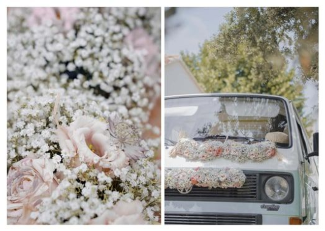 Carte Postale - Série Fleurie